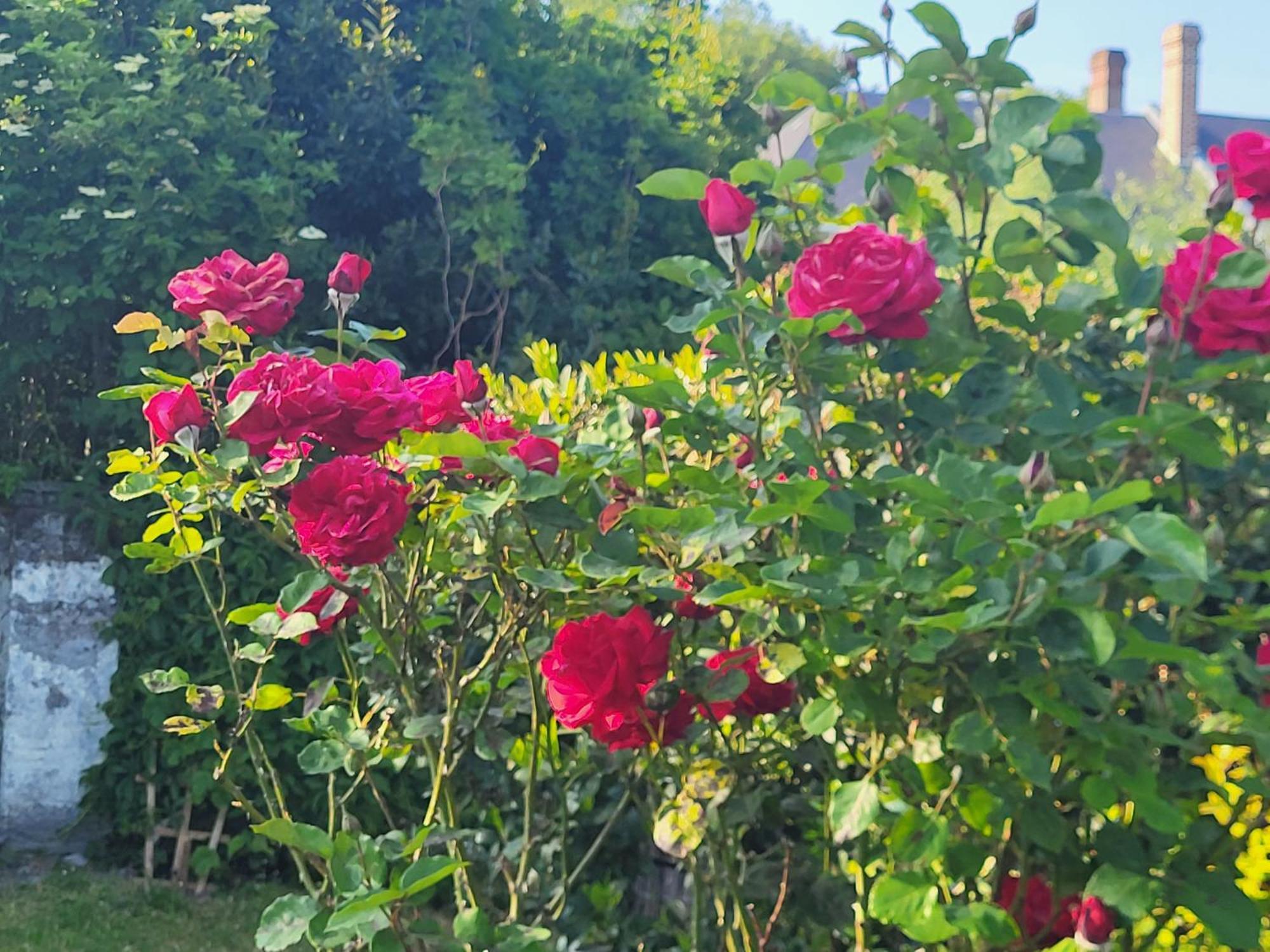 La Massette Villa Favières Kültér fotó